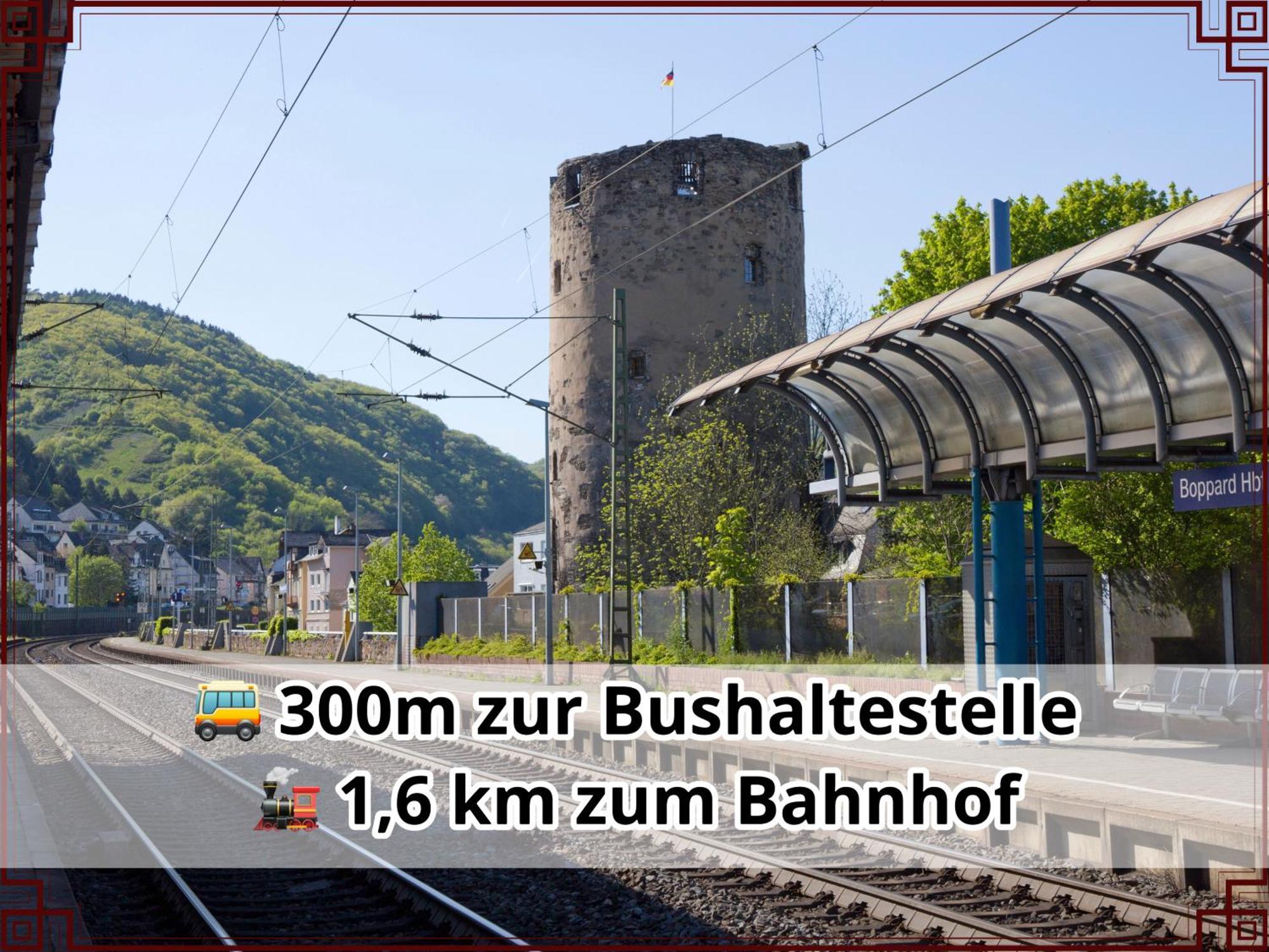 Smallsaigon Apartment Mit Guter Anbindung Zwischen Mosel Und Rhein Leiningen Eksteriør billede